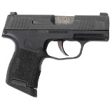 SIG SAUERP365 9MM LUGER (9X19 PARA) - 2 of 2