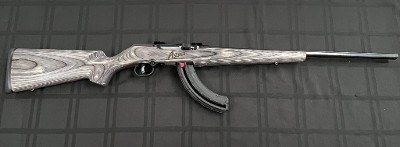 SAVAGE ARMS A17 .17 HMR
