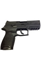 SIG SAUER P250 9MM LUGER (9x19 PARA) - 1 of 3