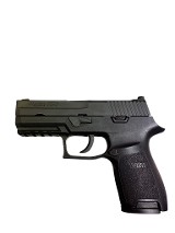 SIG SAUER P250 9MM LUGER (9x19 PARA) - 2 of 3