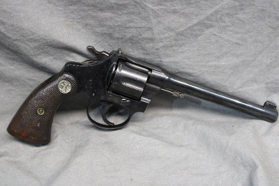 COLT police positive .22 LR