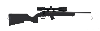 HOWA M1100 RIMFIRE GAMEPRO 17HMR .17 HMR