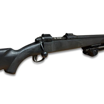 SAVAGE ARMS MODEL 10 BA .308 WIN