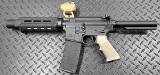 PALMETTO STATE ARMORY PA-15 .300 AAC BLACKOUT - 1 of 3
