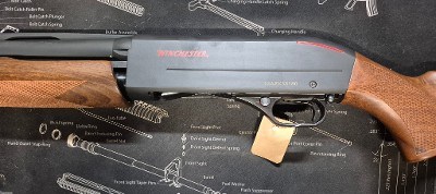 WINCHESTER SXP 12 GA