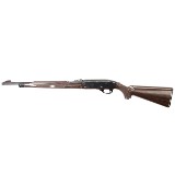 REMINGTON NYLON 66.22 LR - 1 of 2