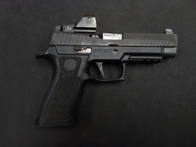 SIG SAUER P320 9MM LUGER (9x19 PARA)