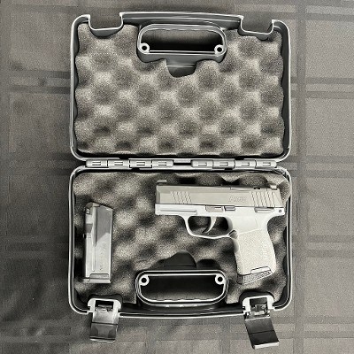 SIG SAUER P365 9MM LUGER (9X19 PARA)