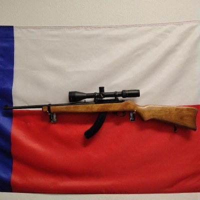 RUGER 10/22 .22 LR