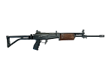 JAMES RIVER ARMORY GALLANT 5.56X45MM NATO - 1 of 2