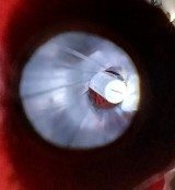 CHARTER ARMS 53840 .38 SPL - 3 of 3