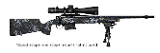 HORIZON FIREARMS VANDAL PRIME PREMIUM - 1 of 1