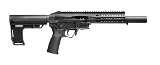 PATRIOT ORDNANCE FACTORY (POF) PSG 22 .22 LR - 1 of 1