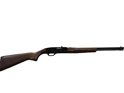 WINCHESTER 190 22 L/LR
