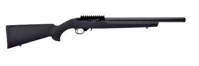 RUGER 10/22 .22 LR