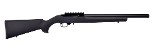 RUGER 10/22 .22 LR - 1 of 1