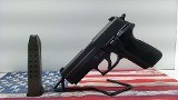 SIG SAUER P229 9MM LUGER (9x19 PARA)