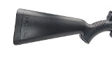 HENRY 22 Survival Rifle .22 LR - 3 of 3