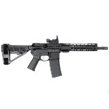 PALMETTO STATE ARMORY PA-15 5.56X45MM NATO - 2 of 3