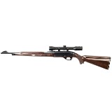 REMINGTON NYLON 66 .22 LR - 1 of 2