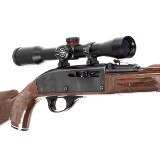REMINGTON NYLON 66 .22 LR - 2 of 2
