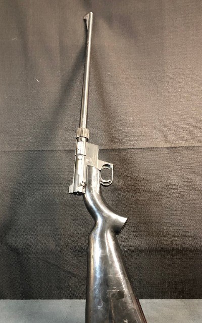 CHARTER ARMS AR-7 .22 LR