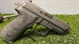 SIG SAUER E29 .40 S&W - 1 of 3