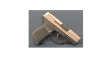 SIG SAUER P365 9MM LUGER (9x19 PARA) - 2 of 3