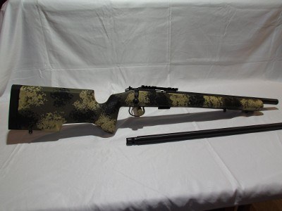CZ 455 VARMINT PRECISION TRAINER .22 LR