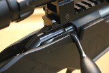 RUGER PRECISION RIMFIRE .22 LR - 3 of 3