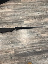 SAVAGE ARMS B.MAG .17 WSM - 1 of 2