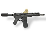PALMETTO STATE ARMORY PA-15 .300 AAC BLACKOUT - 2 of 3