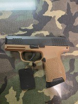 SIG SAUER P365 9MM LUGER (9x19 PARA) - 1 of 1