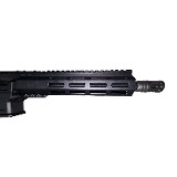 PALMETTO STATE ARMORY ARV 9MM LUGER (9x19 PARA) - 3 of 3