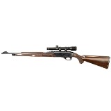 REMINGTON NYLON 66 .22 LR - 1 of 3