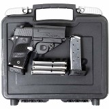 SIG SAUER P238 .380 ACP - 3 of 3
