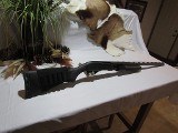 REMINGTON 870 EXPRESS MAGNUM 12 GA - 1 of 3