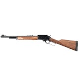 HENRY H001 .22 LR - 1 of 2