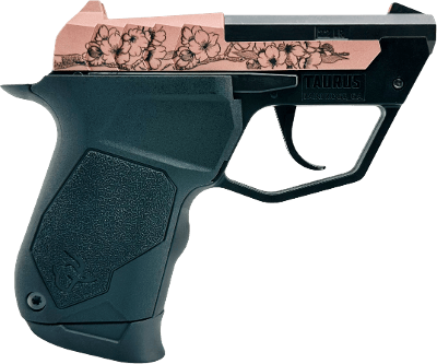TAURUS 22TUC .22 LR - Image 1 of 1