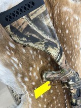 MOSSBERG 535 ATS Turkey Thugs 12 GA - 1 of 3