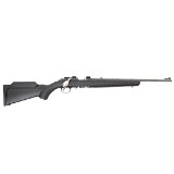 RUGER AMERICAN RIMFIRE COMPACT .22 WMR - 2 of 2