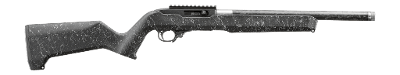 RUGER 10/22 .22 LR - Image 1 of 1