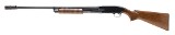 WINCHESTER WINCHESTER 25 12 GA - 3 of 3
