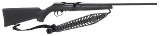 SAVAGE ARMS A17 .17 HMR - 1 of 3