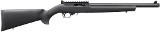 RUGER 10/22 .22 LR - 1 of 1