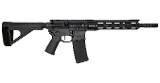 RISE ARMAMENT WATCHMAN .223 WYLDE - 1 of 1