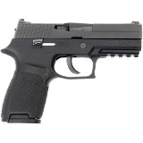 SIG SAUER P250 .40 S&W - 2 of 3