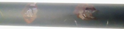 RUGER AMERICAN RIFLE .243 WIN - Image 2 of 3