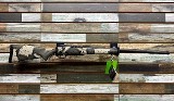 WEATHERBY MARK V BACKCOUNTRY .300 PRC - Image 1 of 3