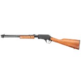 ROSSI GALLERY M1-22 .22 LR - 1 of 2